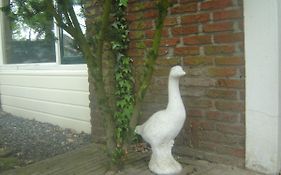 B & B Kostelijk